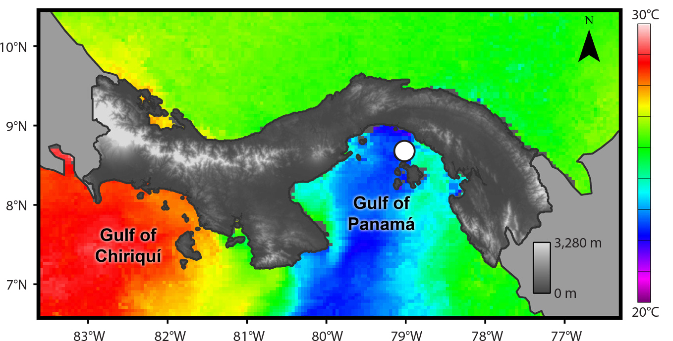 Map showing the seasonal upwelling gradient across the pacific coast of Panama from Gravinese et al 2020