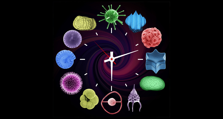 Time Machine Biology