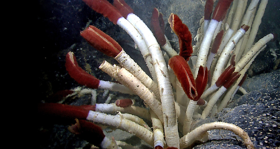 Sustainability in Deep Water