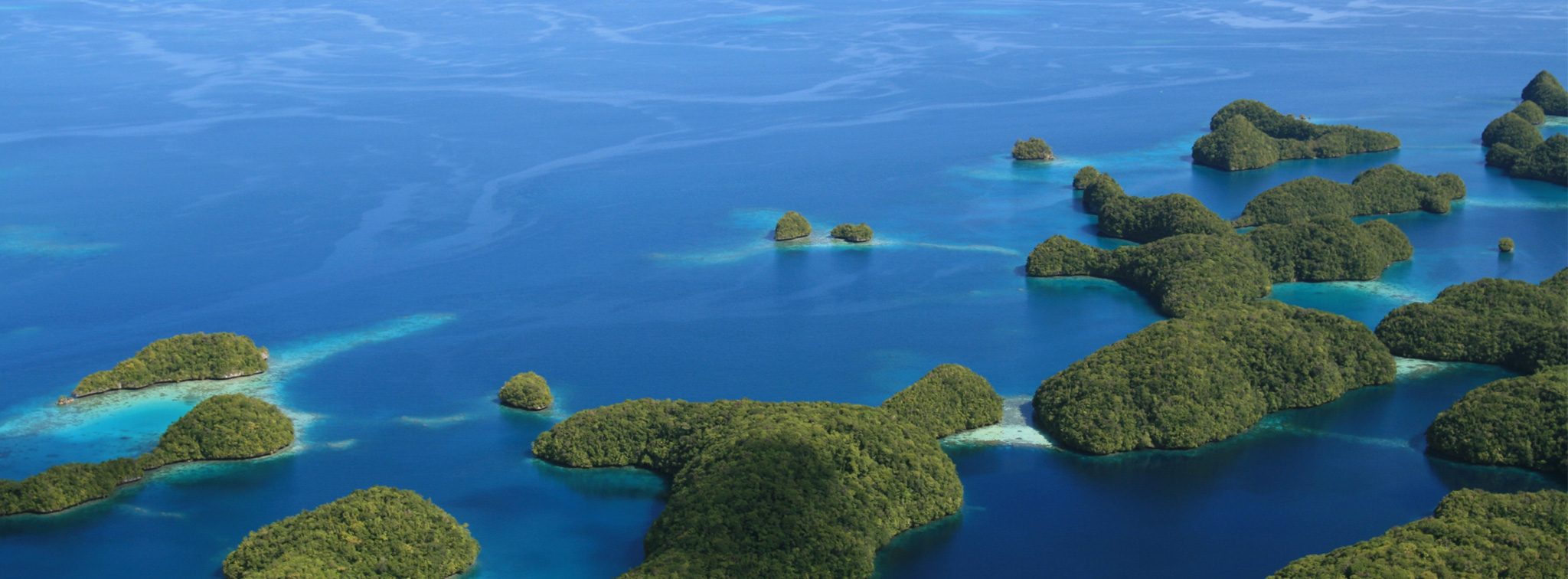 Oceanography contains peer-reviewed articles that chronicle all aspects of ocean science and its applications